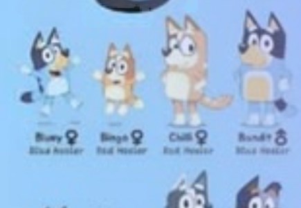 Hangi bluey karakterisin