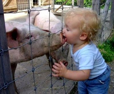 Will You Get The Swine Flu?