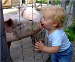 Will You Get The Swine Flu?