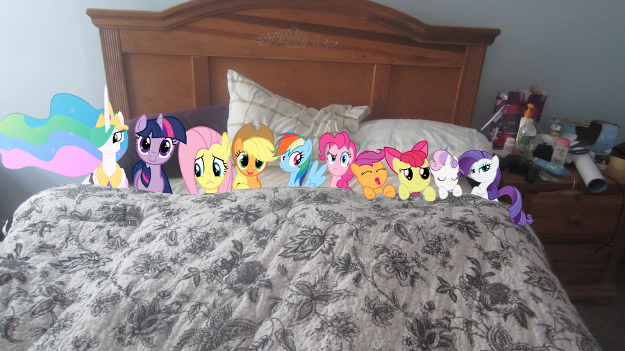Hangi Oc Ponysin?