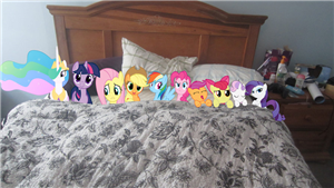 Hangi Oc Ponysin?