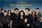 Mirip Siapa Kamu Di Twilight ?