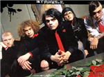 My Chemical Romance Hay Paramore?
