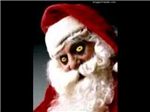 Holiday Hoho's And Haha's