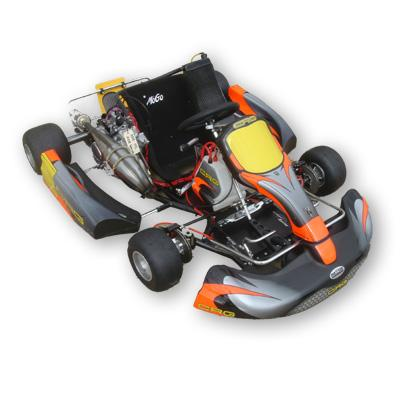 What Type Of Go Kart Do You Prefer