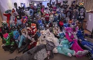 Test Apakah Kamu Furry?