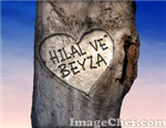 Cevaplada Görelim