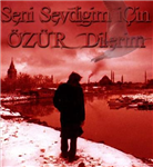 Ne Tür Şairsin?