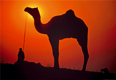 Das Schönste Arabische Land