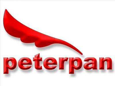 Peterpan Vs Ungu
