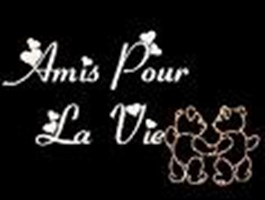 Amies Ou Famille