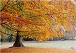 Vakantie !! ;) 