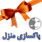پاکسازی منزل