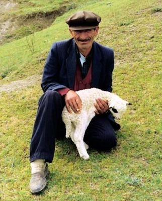 Nasıl Bir Uşaklısın