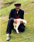 Nasıl Bir Uşaklısın