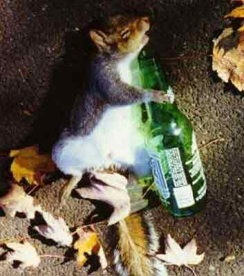 Whatarethechancesthatyourdrunkrightnow?