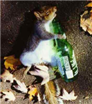 Whatarethechancesthatyourdrunkrightnow?
