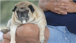 Pen Eller Mega Stygg