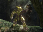 What Halo3 Covenant Race Are You Most Like?