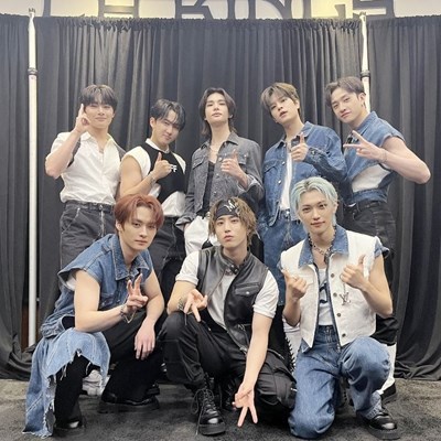 Hangi straykids  üyesisin