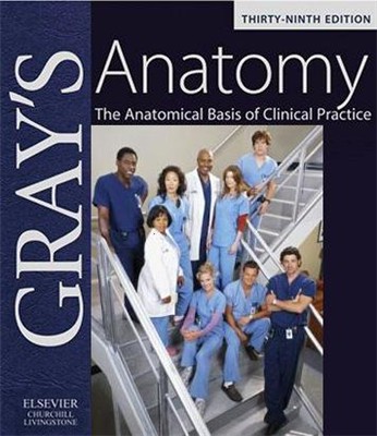 Medical Anatomy