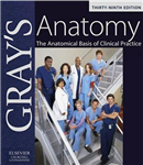 Medical Anatomy