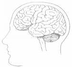 Utiliosation De Ton Cerveau