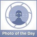 What Is Your "...Of The Day Quiz" Of The Day?