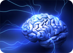 How Much U Will Use Your Brain Today