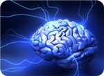 How Much U Will Use Your Brain Today