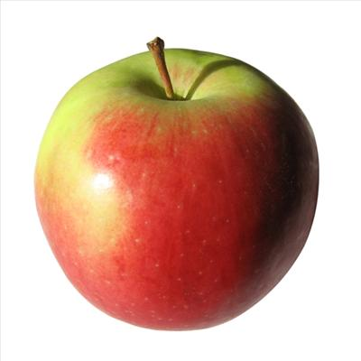 What Kind Of Fruit Are You?