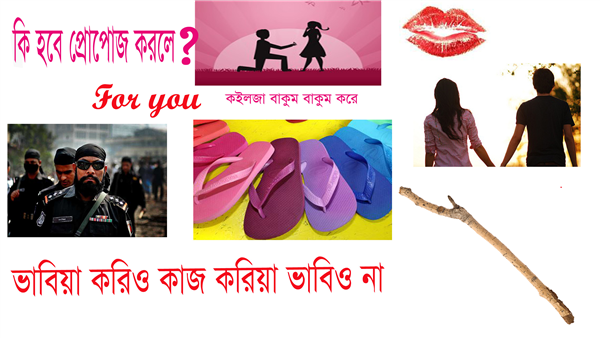 নেক্সট প্রোপোজ করলে কি হপে?