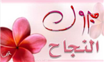 الشامل