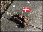 Hvor Godt Kender Laura Andersen