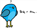 How Dum Are You