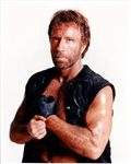 Chuck Norris Vs Bruce Lee