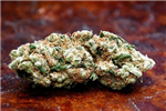 The Weed Factory