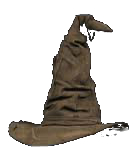 Seçmen Şapka 
