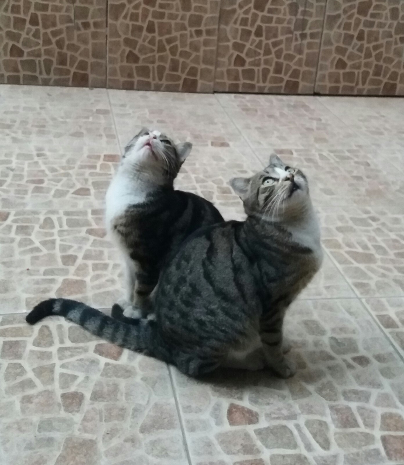 Gelecekti sevgilinin adı ne olacak?