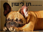 מידת עיפות בבוקר