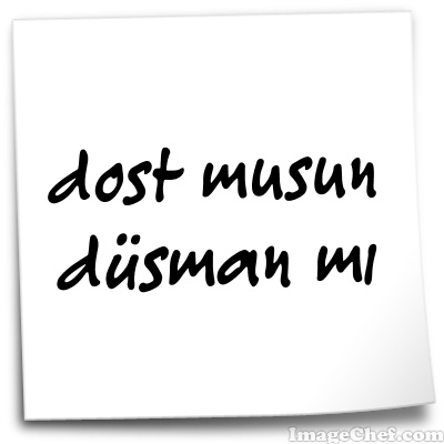 Dost Musun Düşman Mı