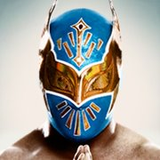 Wwe Funs Game