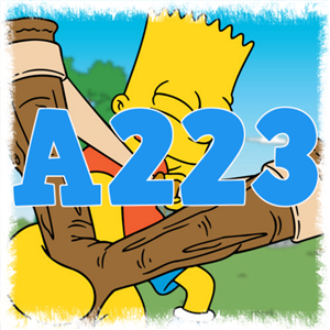 Test De Andres 223