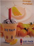 Ice Pack