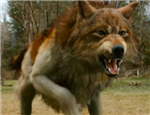 Werewolf Or Vampire??
