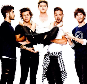 Directioner Testi 