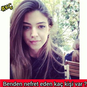 Kırgın Çiçeklerde Hangi Kişisin