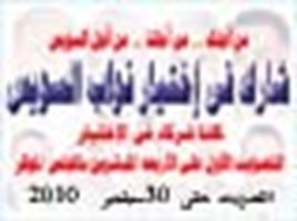 انتخابات مجلس الشعب الدائرة الثانية فئات