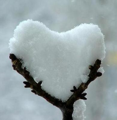 Scopri Se Ti Ama... <3