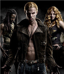 What Twilight Character Are You?
